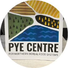 Pye Centre colouring book